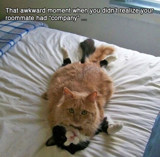 that awkward moment when meme pic