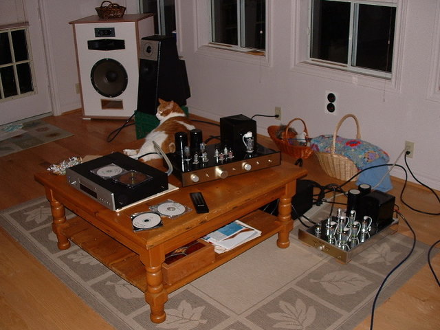 BAAS Oct 26 2007 38.jpg - Jolida JD-100 with stage 1 mods, McAlister PL-10 w/phono, McAlister MB-130 push/pull mono-blocks w/mongo dual mono power supply.Speakers are 2-way TL using Zetag drivers. Loaded the room quite nicely, much to everyone's surprise.