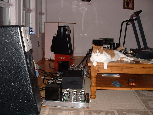 BAAS Oct 26 2007 37.jpg - Happy house cat finally found a warm sweet spot!