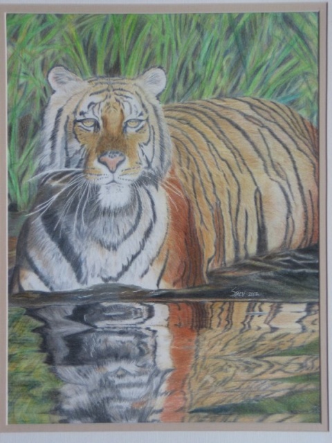 Tiger-colored pencil