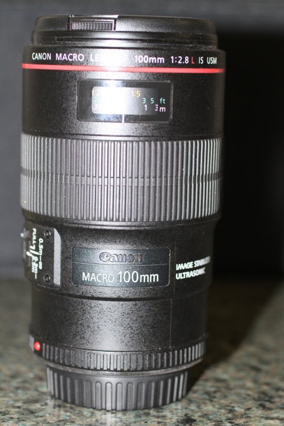 Canon EF 100mm f/2.8 L IS USM