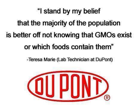 gmo dupont