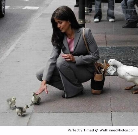 dont-play-with-the-ducks-resizecrop--