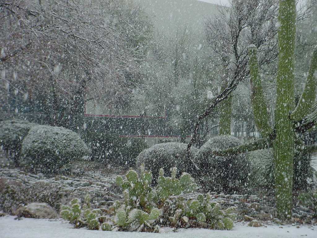 Tucson Snow