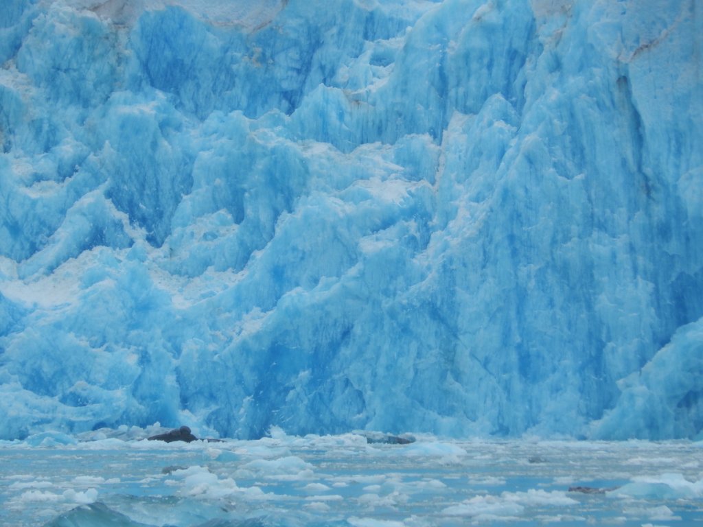 Sawyer Glacier, Tracy Arm Wilderness, AK