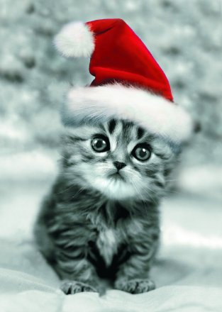MERRY CHRISTMAS