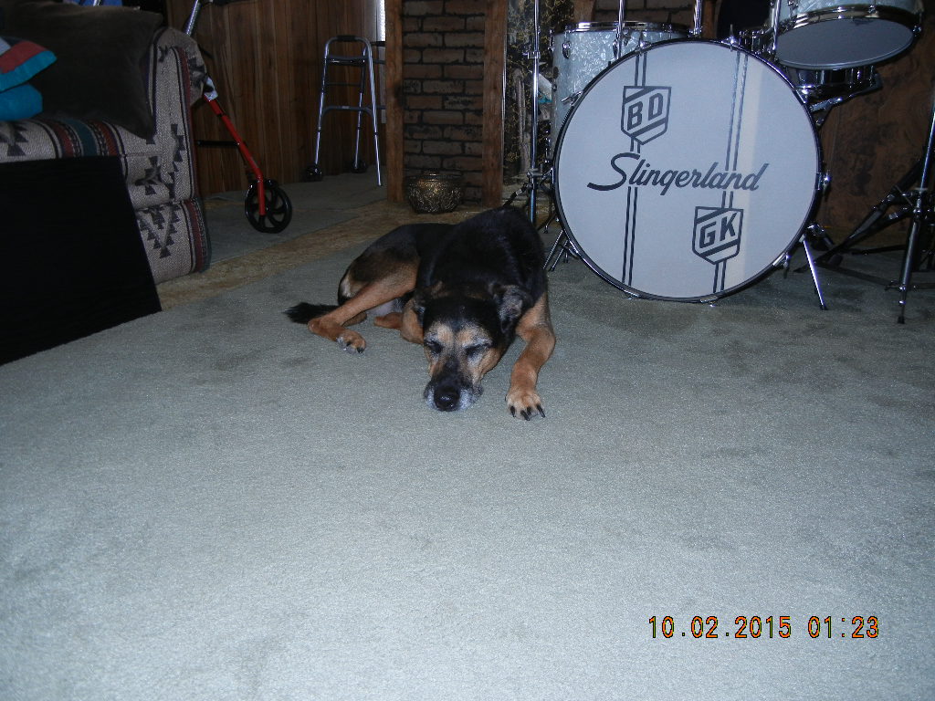 (Untitled)