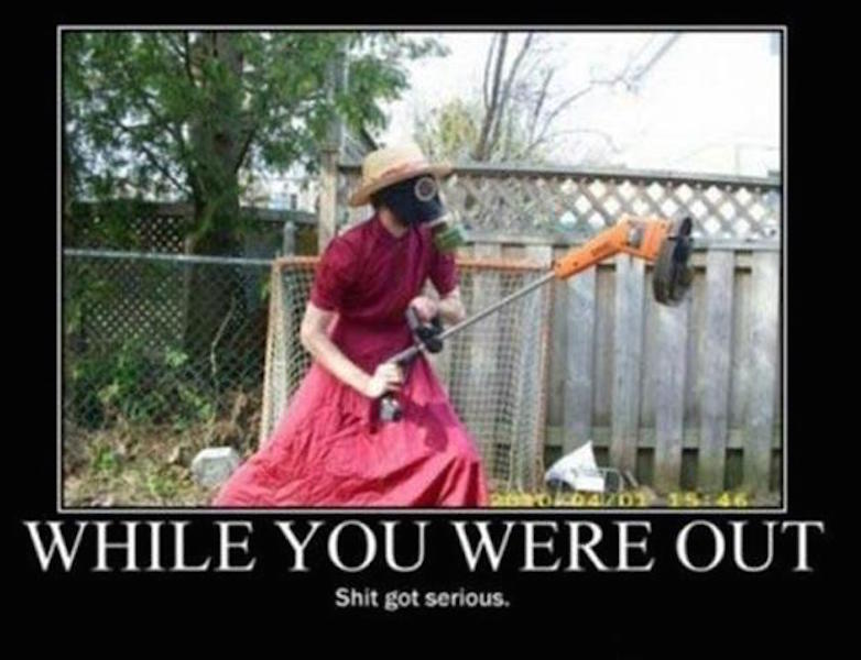 shit-just-got-real-funny-pictures