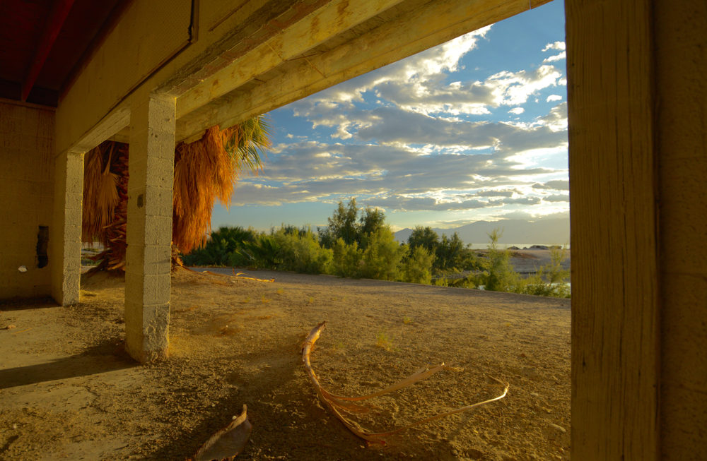 (Untitled)