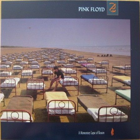 A Momentary Lapse Of Reason