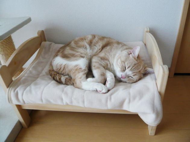 60907000-7192-11e 4-85a 9-c 56c 05775555 ikea-duktig-bed-hack-cat-bed-19