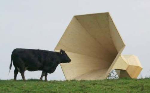 horn cow