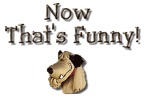 funny-6