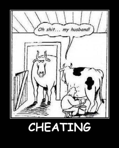 Cheating-Best-Demotivational-Posters
