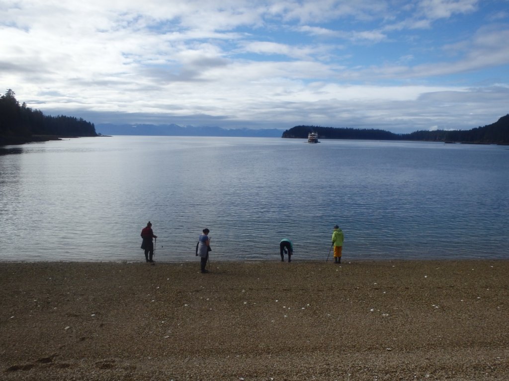 (Untitled)
