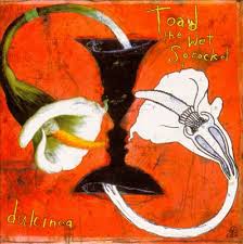 Toad the Wet Sprocket - Dulcinea