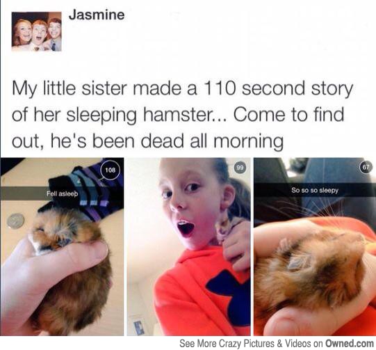 not all stories have happy endings big