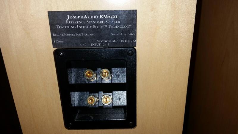 Joseph Audio Rear
