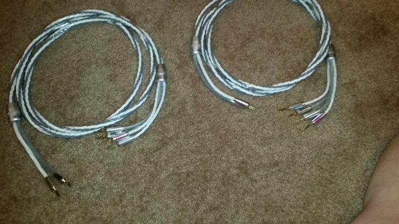 XLO HT Pro Speaker Cable 1
