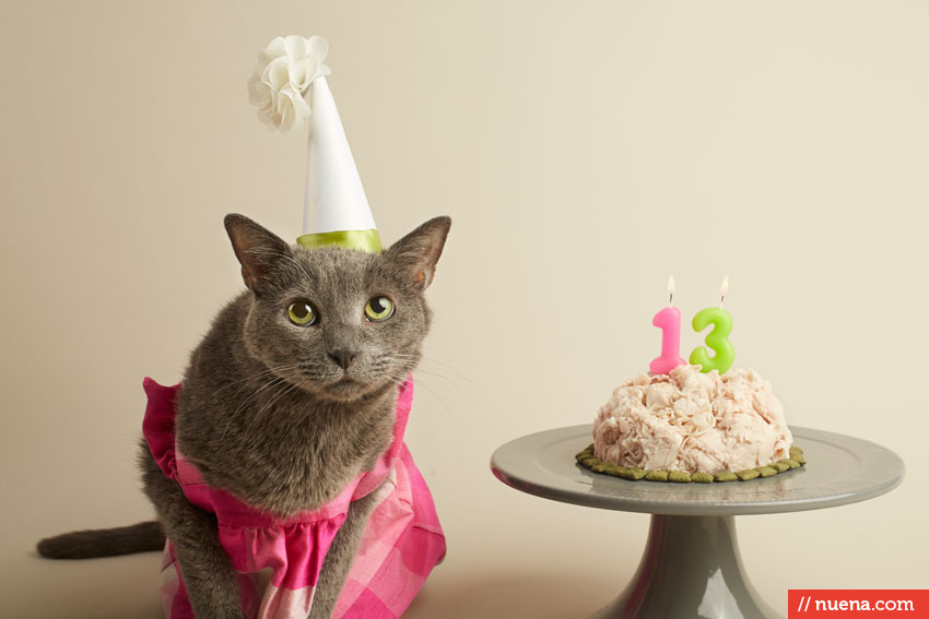 ponettebday