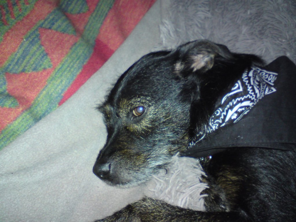 (Untitled)