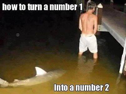 1002303 504570732994348 1812152036 n