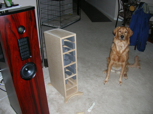 puppy likes mdf...