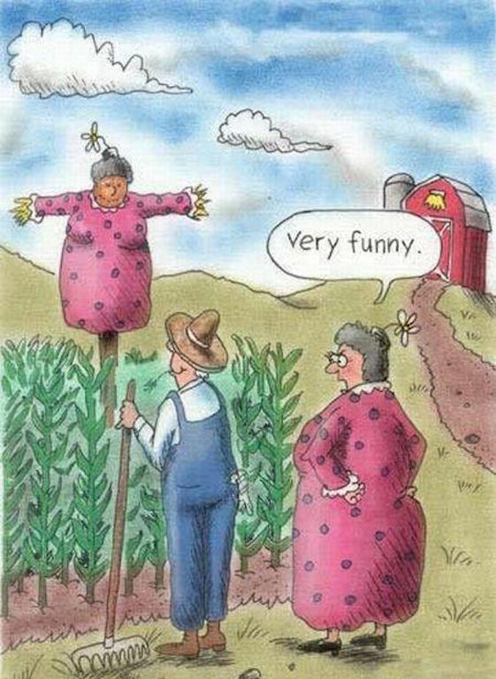 Funny-couple-cartoon