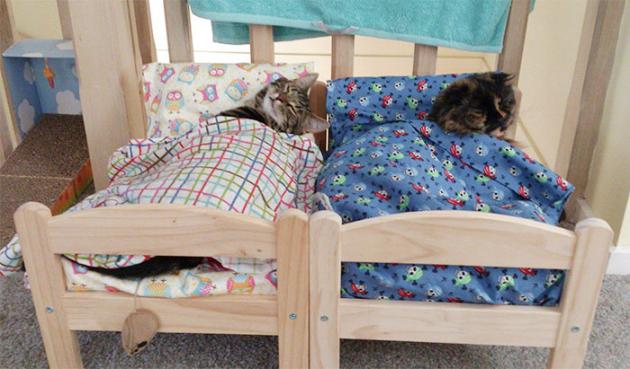 607239a 0-7192-11e 4-be 2d-3b 4c 12c 7a 6cb ikea-duktig-bed-hack-cat-bed-18