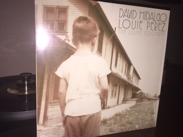 david hidalgo
