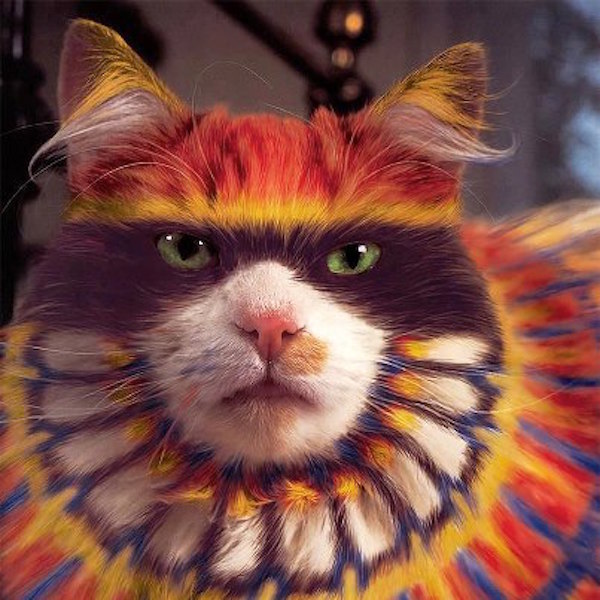 tatoo-cat