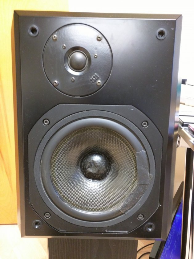 20 yo Reference 3as with torn surrounds and mashed tweeters