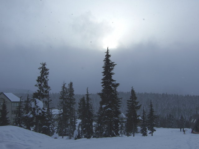 snowy day on Mt Washington ski hill Jan 20 08