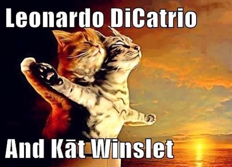 funny-pictures-titanic-cats