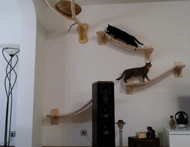 (Untitled)