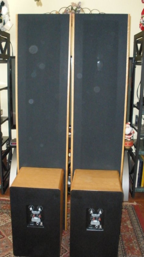 DynaStat rear view