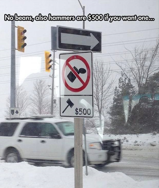 11054353 882404435136691 7822070348648886450 n