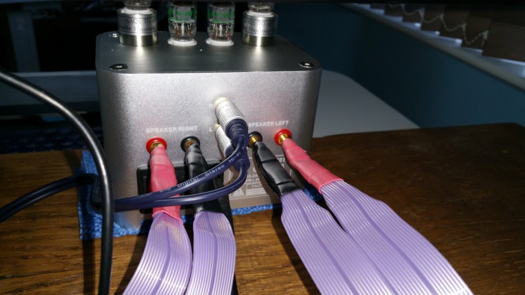 z-plugs out of amp