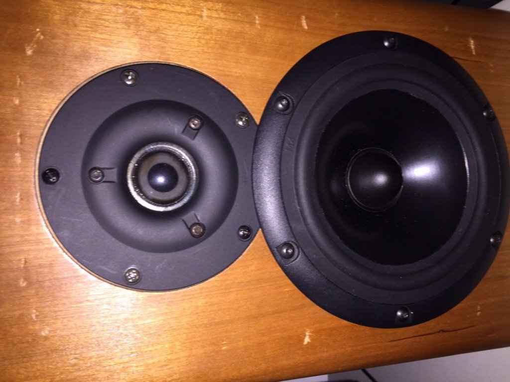 speaker 1