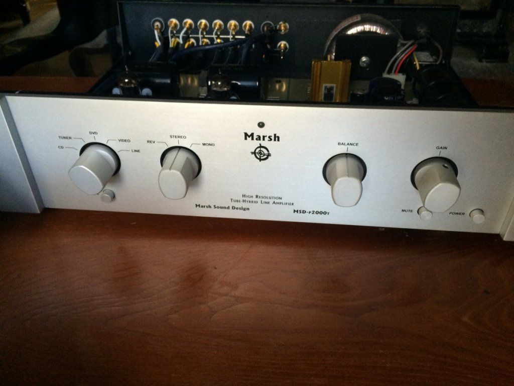 pictures of marsh p2000t