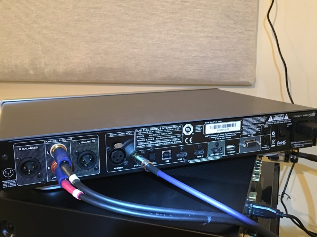 NAD M51 Rear