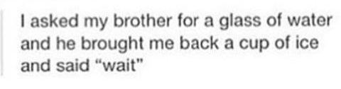 troll brother big - Copie