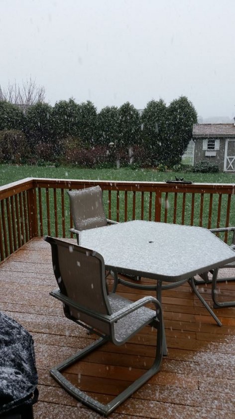 spring snow