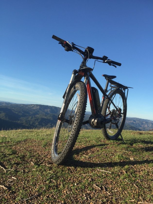 Felt Niner