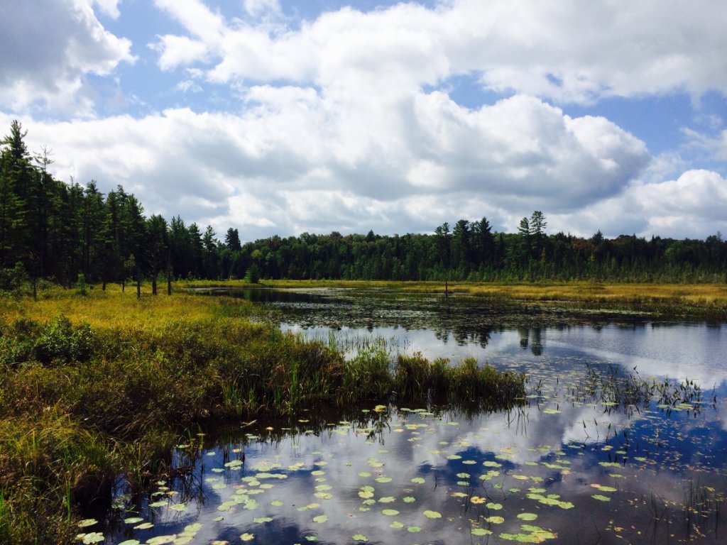 Adirondacks