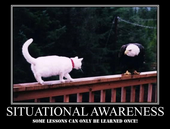 situational-awareness 2