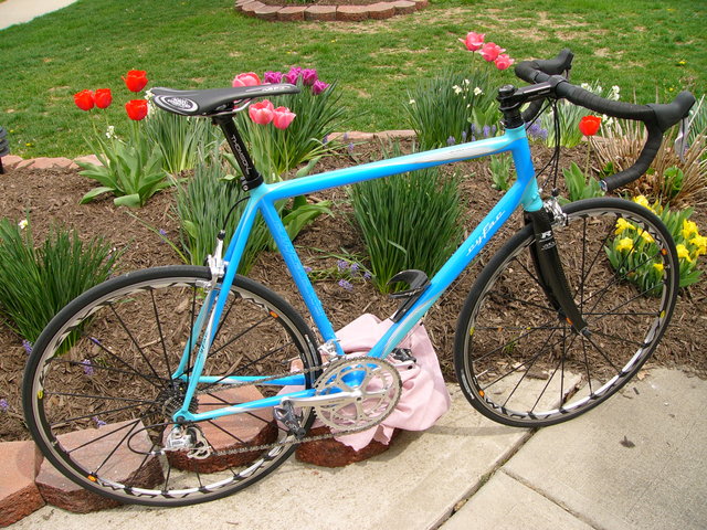 Cyfac Steel (4)