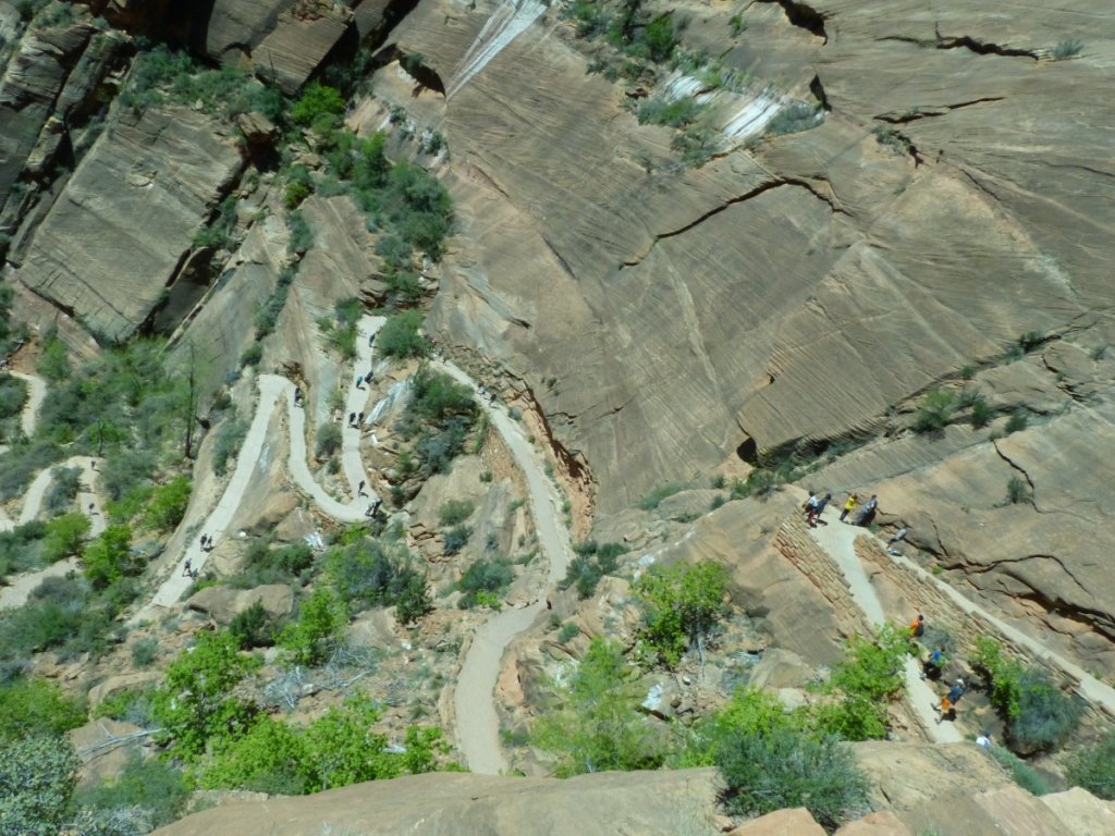 Walter's Wiggles, a series of 21 switchbacks on the Angel's Landing trail at Zion