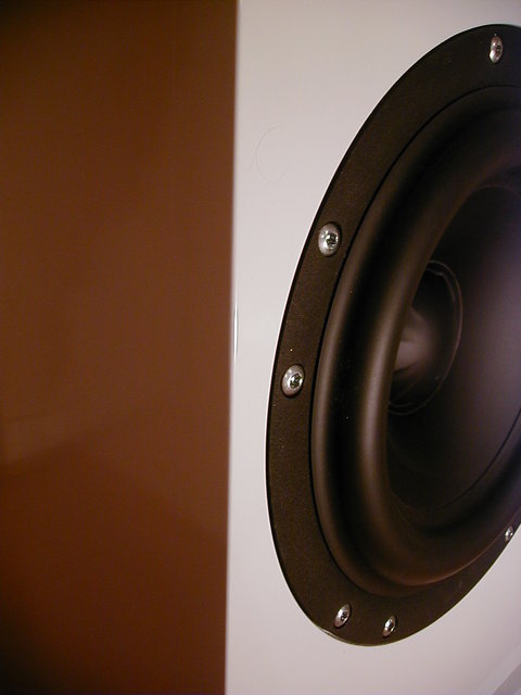 Scanspeak Revelator 9" 23W/4557T 02 - Clear, tight and very deep...

http: /www.youtube.com/watch?v=g 6j G 6n FNL 5o