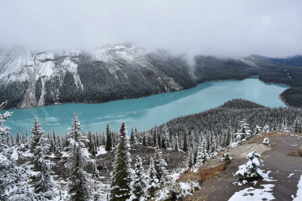 Peyto Lake, Alberta Canada